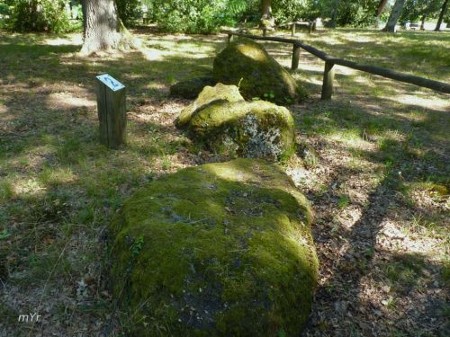 Necropolis  de Peyrehaut F2 Villenave-d'Ornon Bordeaux Gironde Nueva Aquitania