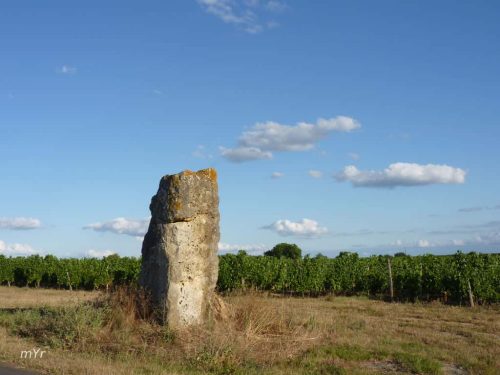 Pierre-du-Maine-du-Prieuré-Bellefond Libourne Gironde Nueva Aquitania