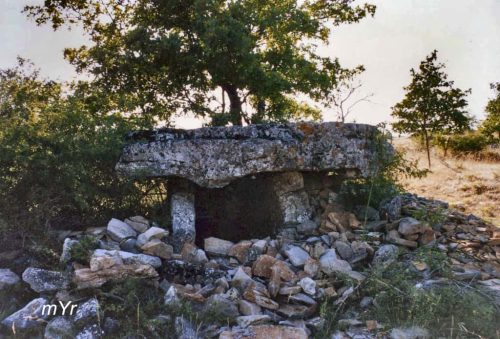 Dolmen de la Fabière Cavalerie Millau Aveyron Occitania
