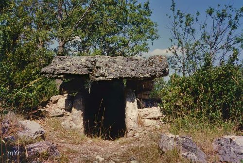 Dolmen-Ferrussac II -La-Vacquerie-et-Saint-Martin-de-Castries Lodève Hérault Occitania