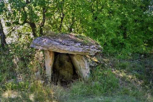 Dolmen del Combe de Saule B Marcilhac-sur-Célé Figeac Lot  Occitania