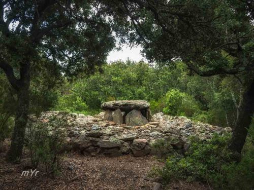 Dolmen-Coll-de-la-Llosa F1 Sant-Miquel-de-Llotes-RoselloPirineos Orientales