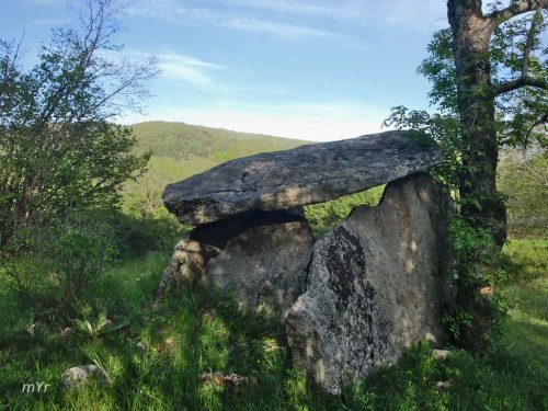 Dolmen-Les-Marrunyes F1-Brangolí-Enveitg Pirineos-orientales Occitania 