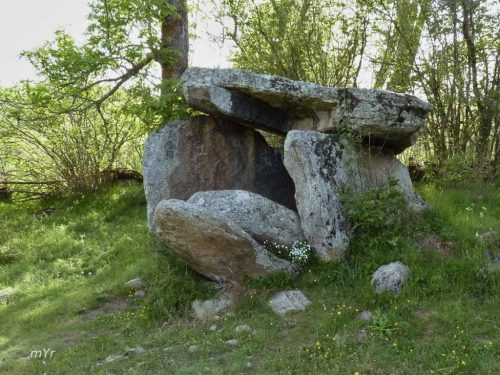 Dolmen-Les-Marrunyes F2-Brangolí-Enveitg Pirineos-orientales