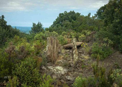 Dolmen-Rieres-F1 Bulaternera i Sant Miquel de Llotes Roselló Pirineos Orientales