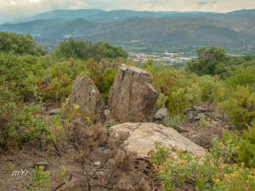 Dolmen-Rieres-F2 Bulaternera i Sant Miquel de Llotes Roselló Pirineos Orientales