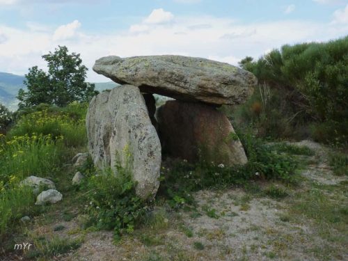 Dolmen de  Creu Roc Cornut Campoussy Prades  Pirineos-orientales Occitania 