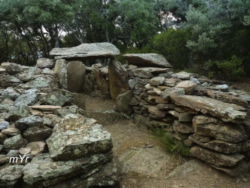 Dolmen de Serrat d'en jacques F1 Saint-Michel-de-Llotes Céret Pirineos Orientales
