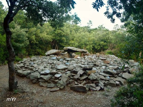 Dolmen de Serrat d'en jacques F2 Saint-Michel-de-Llotes Céret Pirineos Orientales