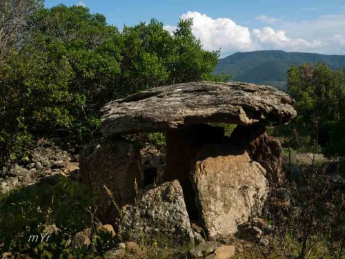 Dolmen de la Cauna del Moro F1 Felluns Prades Pirineos Orientales Occitania 