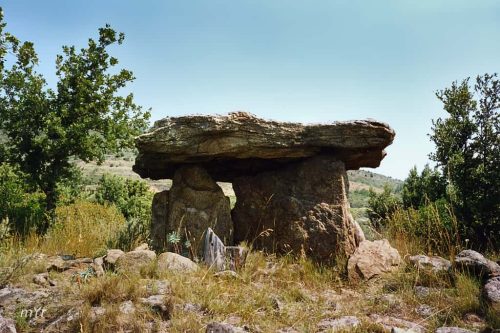 Dolmen de la Cauna del Moro F1 Felluns Prades Pirineos Orientales Occitania 