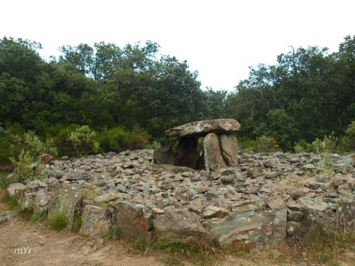 Dolmen de la Creu de la Llosa F1 Saint-Michel-de-Llotes CéretPirineos-orientales