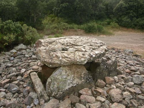 Dolmen de la Creu de la Llosa F2 Saint-Michel-de-Llotes CéretPirineos-orientales