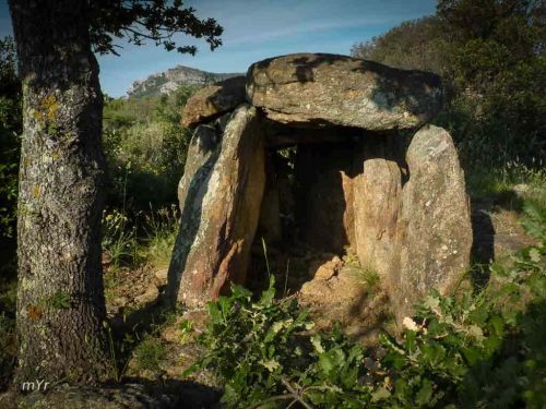 Dolmen de la Rouyre F1 Ansignan Prades Pirineos Orientales Occitania 