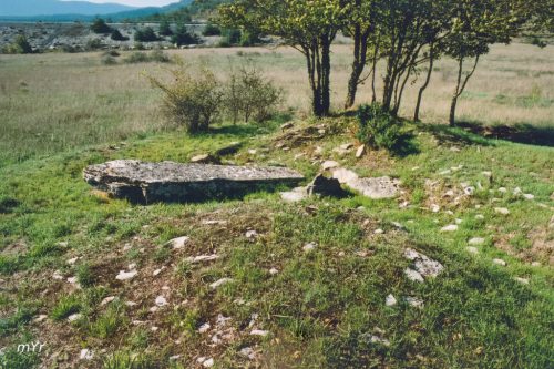 Dolmen Gurpide norte Kuartango Álava Pais Vasco