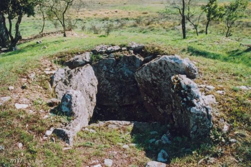 Dolmen San Sebastián I Kuartango Álava Pais Vasco