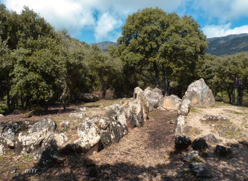 Dolmen-de-Los-Llanos F1-Kripan-Alava