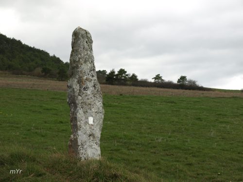 Menhir Ribota supuesto menhir Tobillas Álava País Vasco