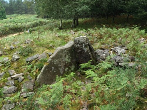 Dolmen Akolako Lepua I Hernani Gipuzkoa País Vasco