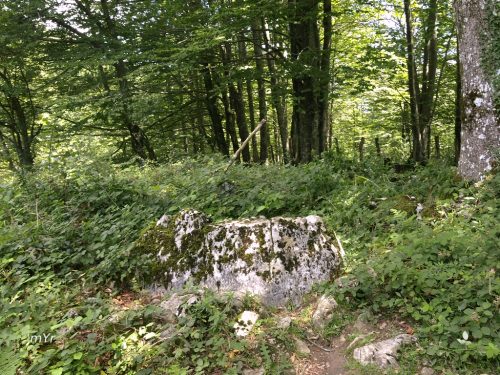 Dolmen Labeo Enirio Aralar Gipuzko País Vasco