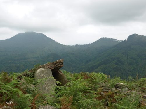 Dolmen Sagastieetako Lepua  I F1 Hernani Guipuzcoa País Vasco