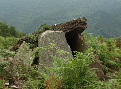 Dolmen Sagastieetako Lepua  I F2 Hernani Guipuzcoa País Vasco