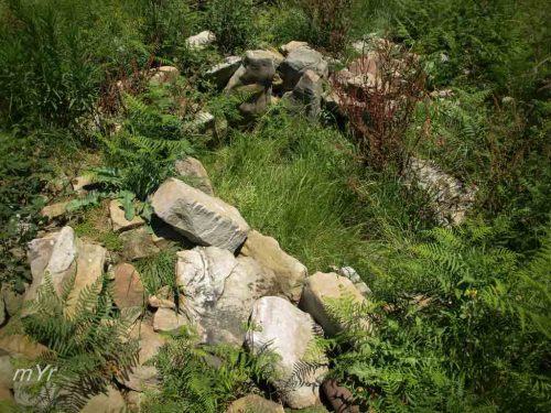 Dolmen-La-Cabaña-IV- Valle de Carranza-Vizcaya País Vasco