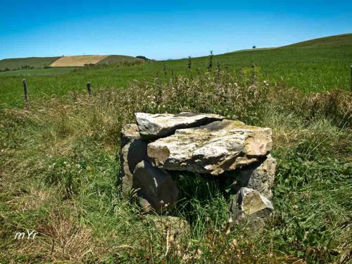 Dolmen-de-Fuentellano F2-Villanueva-de-Presa-Vizcaya País Vasco