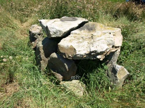 Dolmen-de-Fuentellano F1-Villanueva-de-Presa-Vizcaya País Vasco
