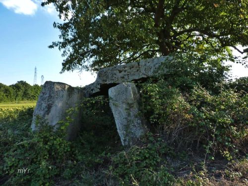 Dolmen de l'Avort Gennes F2 Saumur Maine-et-Loire País del Loira