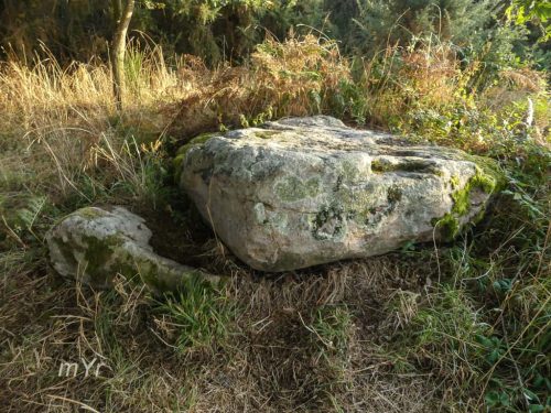 Dolmen de la Briordais Saint-Brevin-les-Pins Saint-Nazaire Loire-Atlantique Pais del Loira 