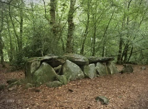 Dolmen de la Contrie du Rocher Ernée Fougères Mayenne País del Loira