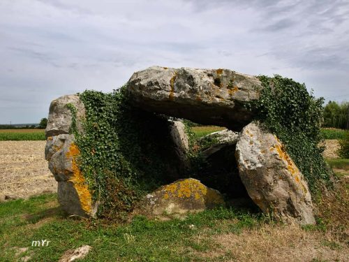 Dolmen de la Fontaine au Son Saint-Léger-de-Montbrillais Saumur Vienne Países del Loira