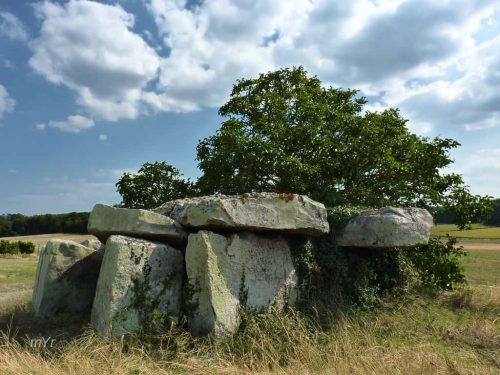 Dolmen de la Forêt Gennes Saumur Maine et Loire País del Loira
