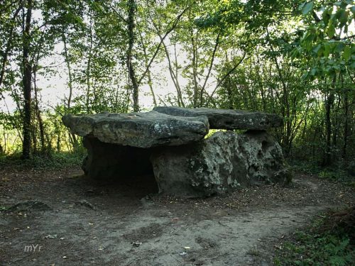 Dolmen de la Pierre-Couverte F1 Chemellier Angers Maine-et-Loire País del Loira