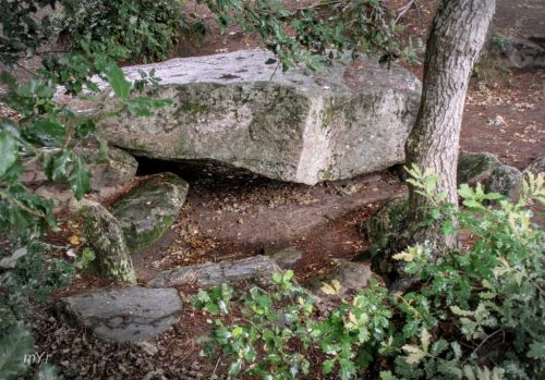 Dolmen des Rossignols Saint-Brevin-les-Pins Saint-Nazaire Loire-Atlantique Pais del Loira