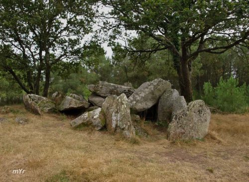 Dolmen du Riholo Herbignac Saint-Nazaire Loire-Atlantique Pais del Loira