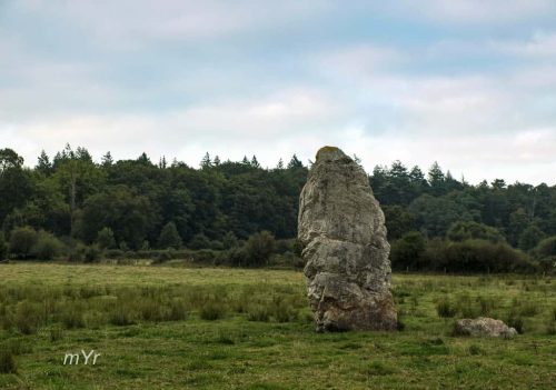 Menhir Fuseau de la Madeleine Pontchâteau Saint-Nazaire  Loire-Atlantique Pais del Loira