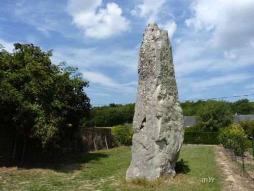 Menhir de Nidevelle Saint Georges des Sept Voies Saumur Maine-et-Loire Pais del Loira