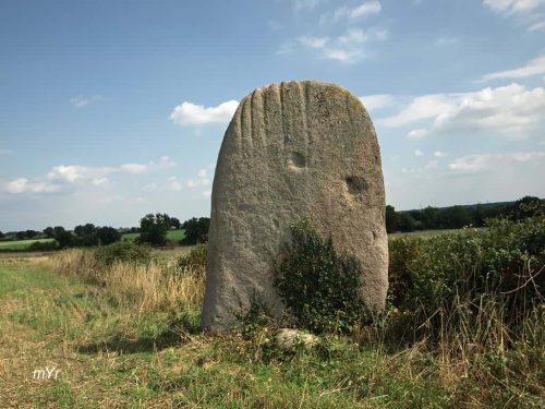Menhir de la Bretaudière Champ de Pierres Renaudière Cholet 	Maine-et-Loire Pais del Loira