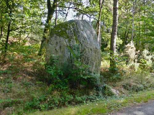 Menhir de Fuseau à Berthe Sévérac Redon Loire-Atlantique  Pays de la Loire.jpg