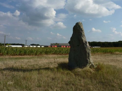 Menhir du Bois-Gilbert Gennes Saumur Maine-et-Loire País del Loira