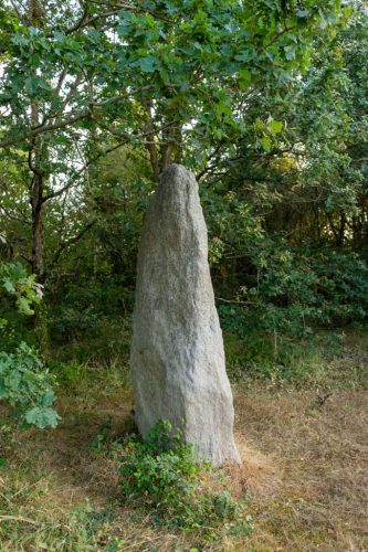 Menhir du Plessis-Gamat Saint-Brevin-les-Pins  Saint-Nazaire Loire-Atlantique País del Loira