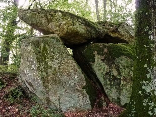 Rocas Palais du Diable Sainte-Gemmes-le-Robert Mayenne Mayenne Pais del Loira