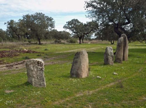 Alimamiento do Monte de Tera Pavia Mora Évora Alentejo
