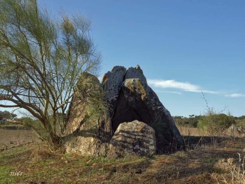 Anta Grande de Corte Serrão Pedrogão Vidigueira  Beja Alentejo