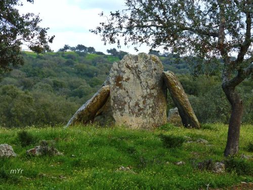 Anta Herdade da Negrita 1 Safara e Santo Aleixo da Restauração Moura Beja Alentejo