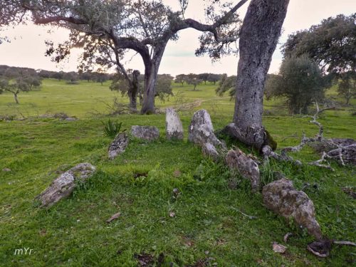 Anta Herdade da Negrita 2 Safara e Santo Aleixo da Restauração Moura Beja Alentejo