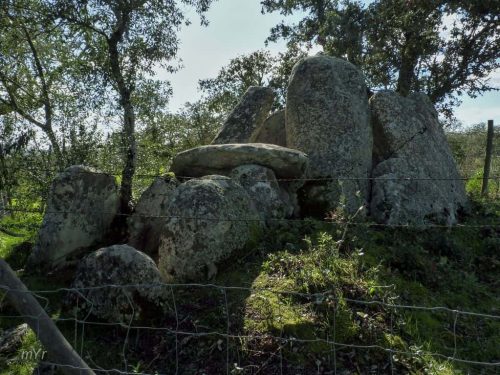 Anta  Monte da Caeira 1 Vimieiro Arraiolos Évora Alentejo