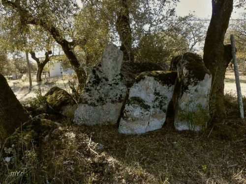 Anta da Almanhares 4 Alter do Chão Portalegre Alentejo